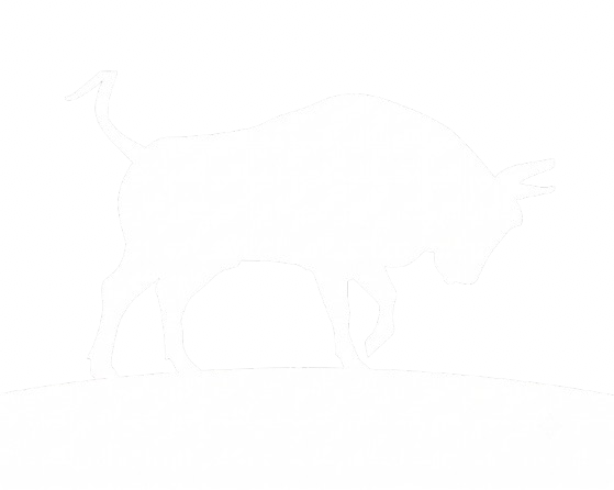 BULL DEVZ Logo